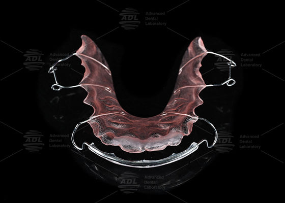 চায়না ডেন্টাল ল্যাব স্টেইনলেস স্টিল এবং অ্যাক্রিলিক অর্থোডন্টিক হলি রিটেইনার অর্থোডন্টিক চিকিৎসার জন্য